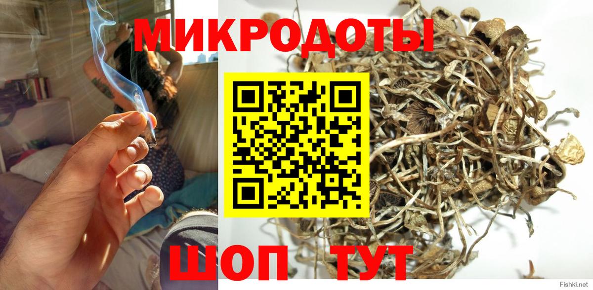 Псилоцибиновые грибы GOLDEN TEACHER Владикавказ