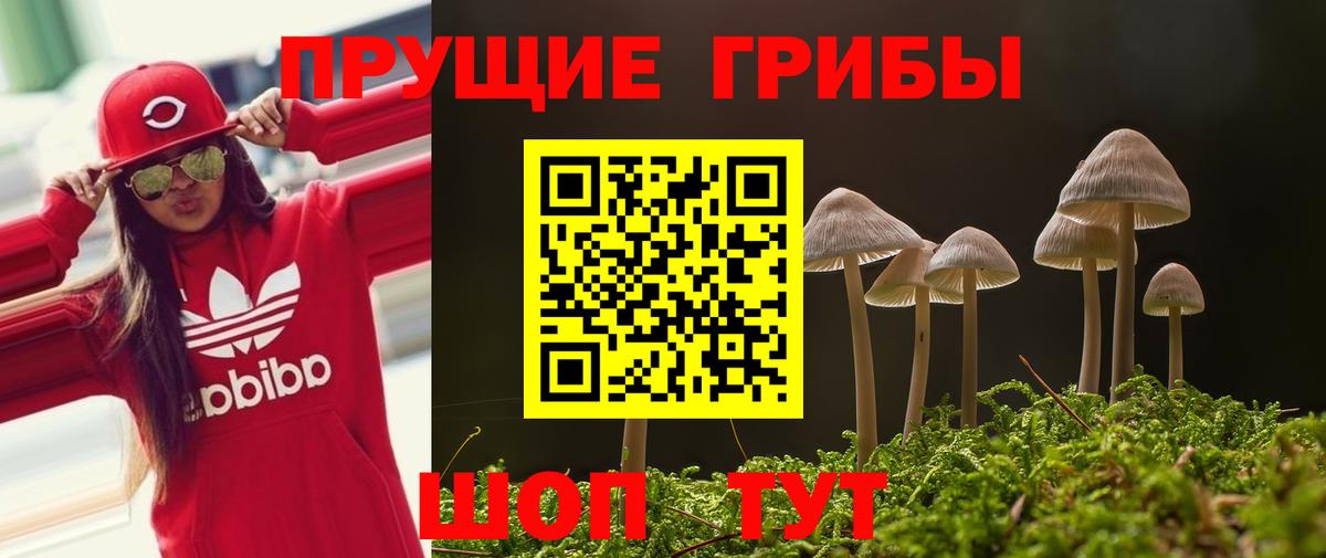 Псилоцибиновые грибы ЛСД  Вход с VPN  Владикавказ  Псилоцибиновые грибы Psilocybine cubensis 